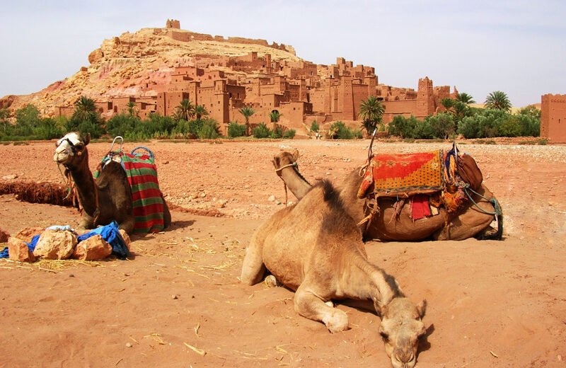 Excursión de 3 días desde Agadir al desierto del Sahara, kasbah y montañas.