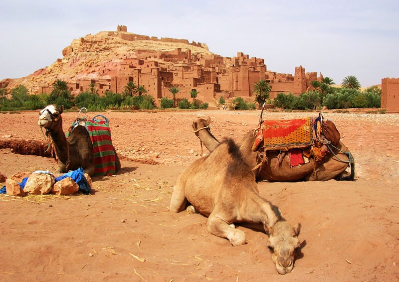 morocco kasabah trip (6)