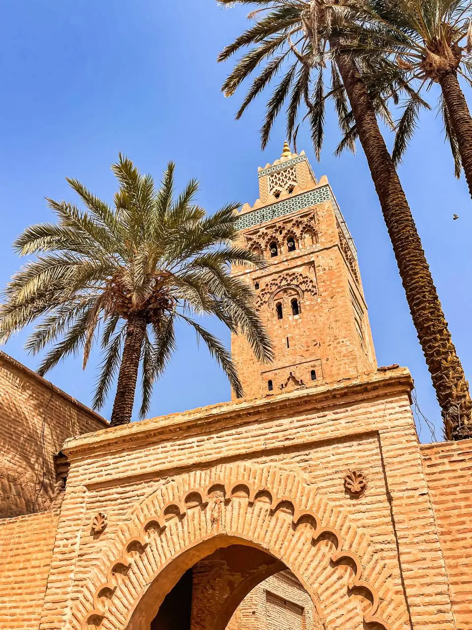 Tour From Marrakech